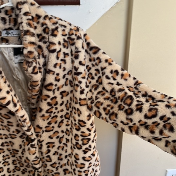 Beautiful coat - Picture 5 of 5